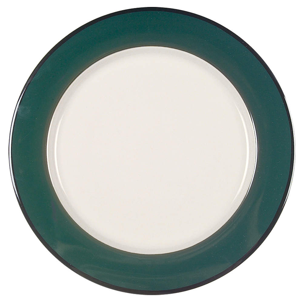 Colors of Celebration Dinner Plate by International-1