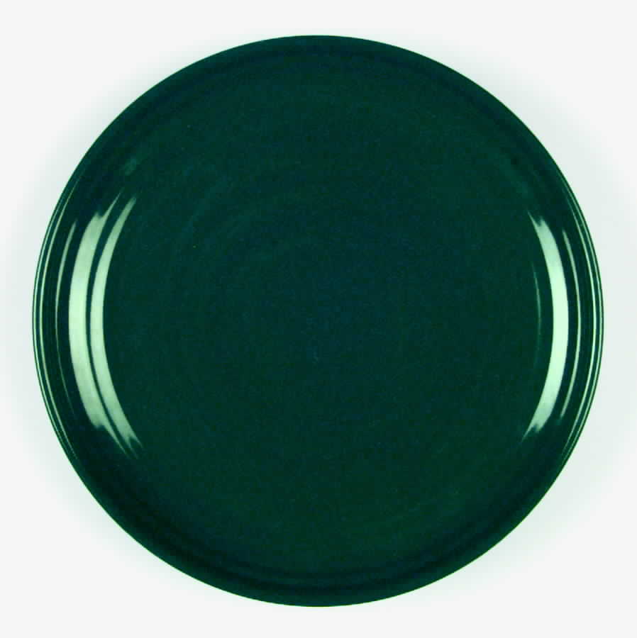 Colors Hunter Green Dinner Plate by International-1