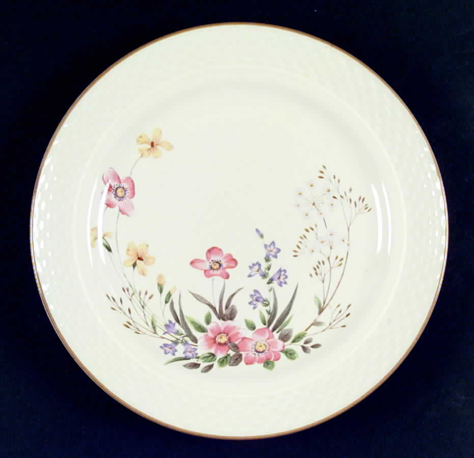 Creme De Chine Dinner Plate by International-1
