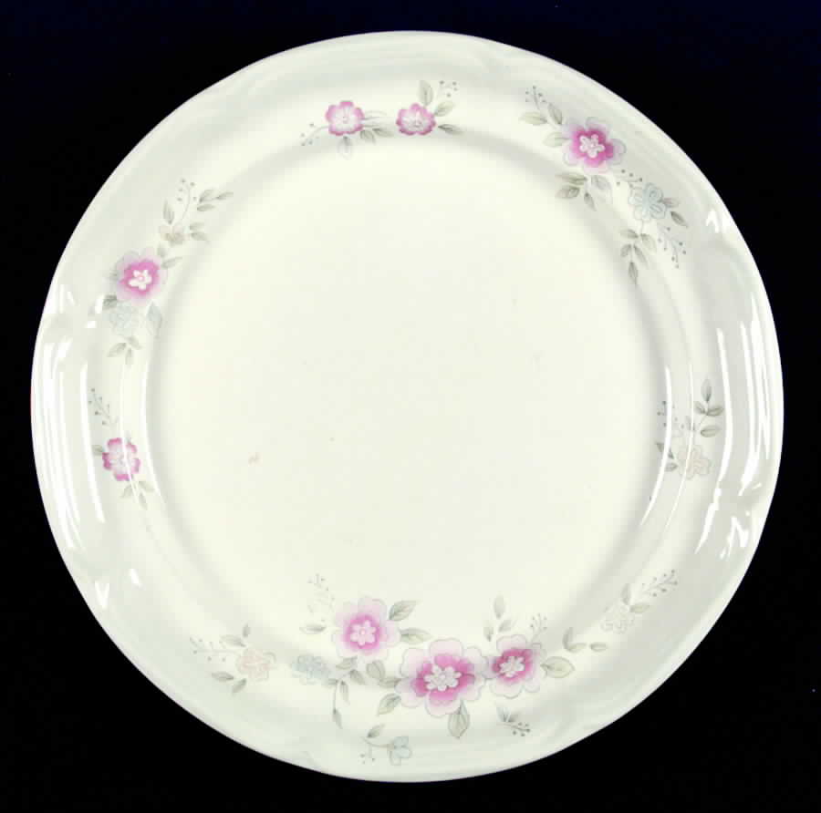 Delightful Dinner Plate by International-1