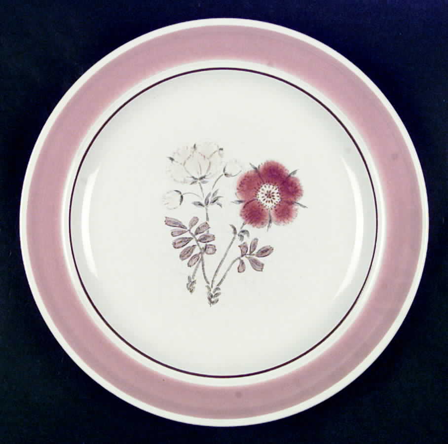Hazel Nut Dinner Plate by International-1