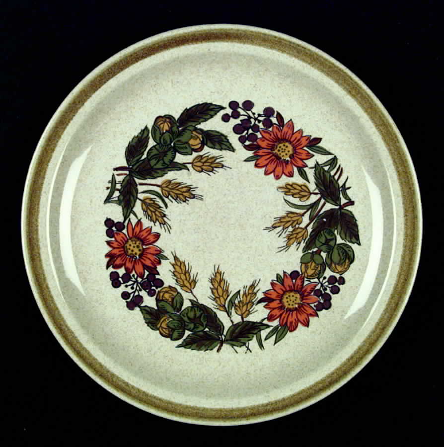 Harvest Dinner Plate by International-1