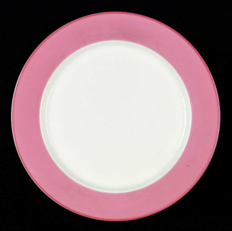 Hotline Coral Dinner Plate by International-1