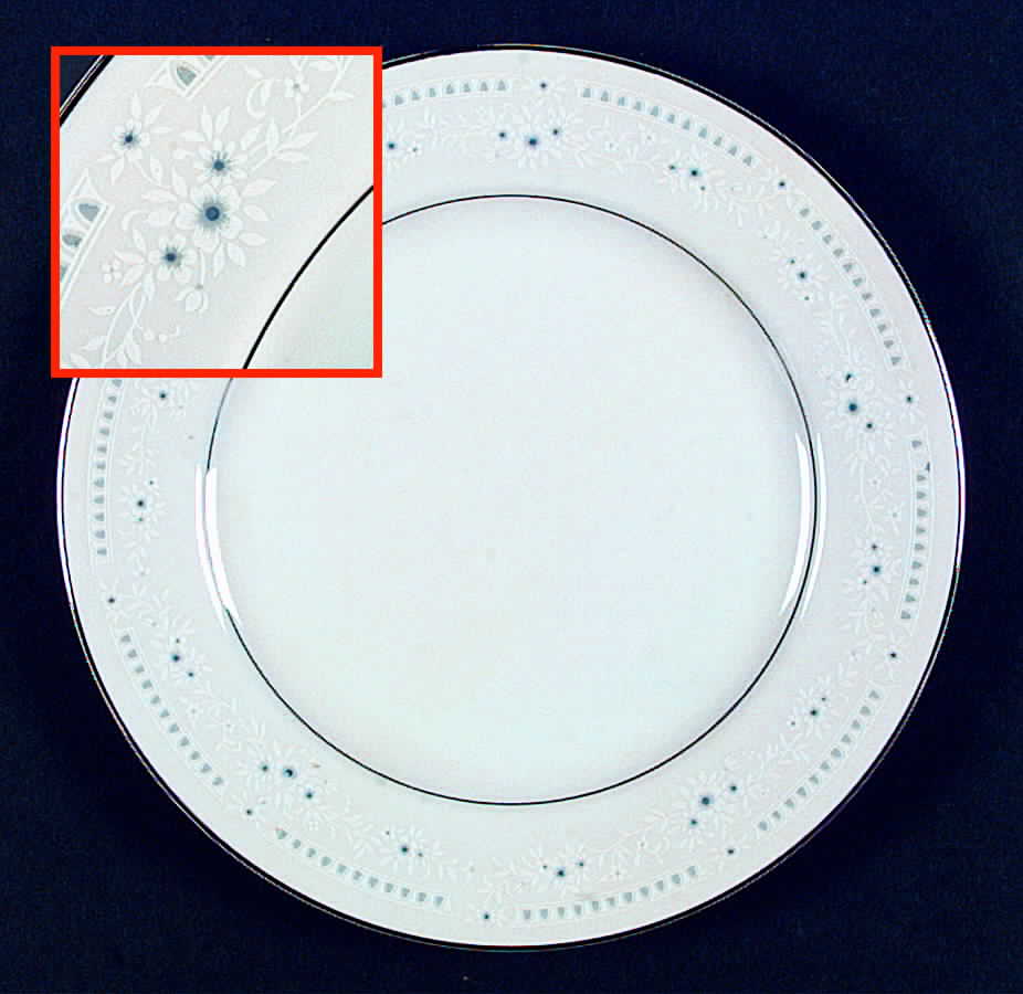 Hyde Park Dinner Plate by International-1
