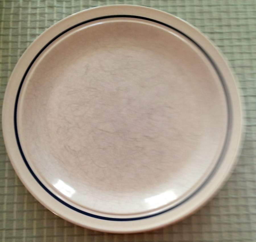 Ice Dinner Plate by International-1