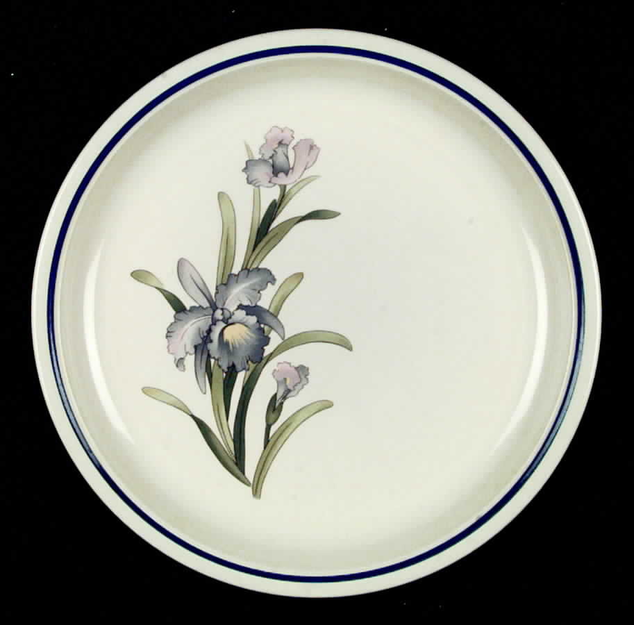 Iris Lane Dinner Plate by International-1