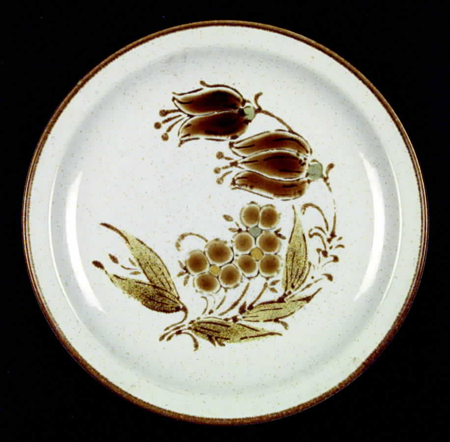 Jubilee (SY6077, Stoneybrook) Dinner Plate by International-1