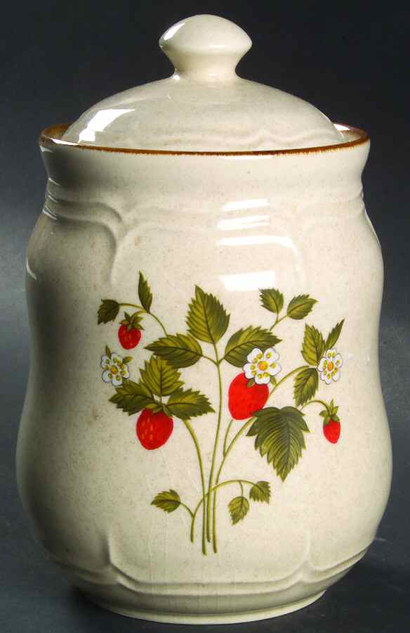 La Fraise Medium Canister & Lid by International-1