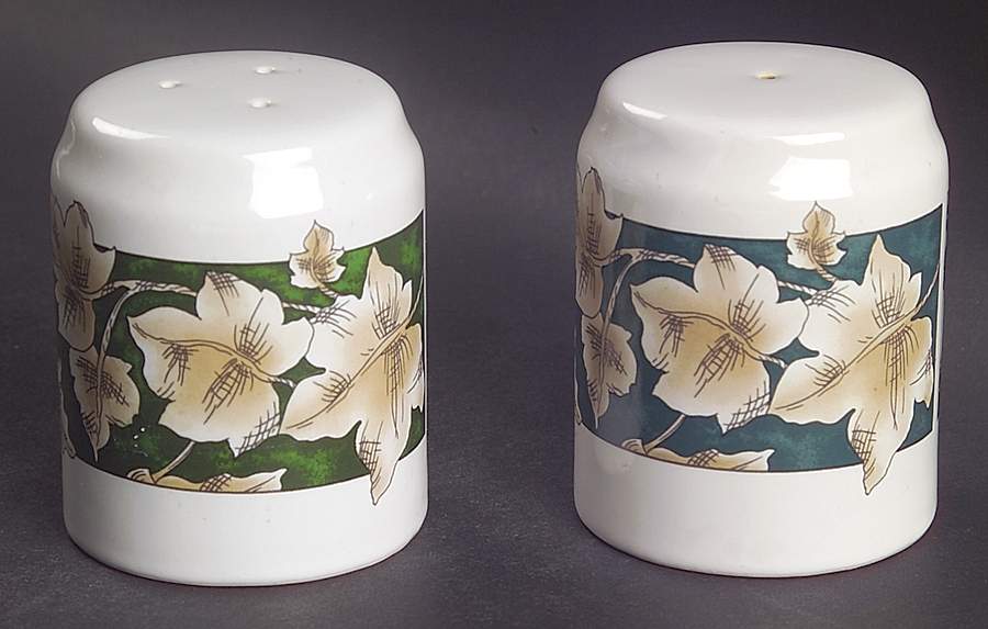 Nature Study Salt & Pepper Set by International-1