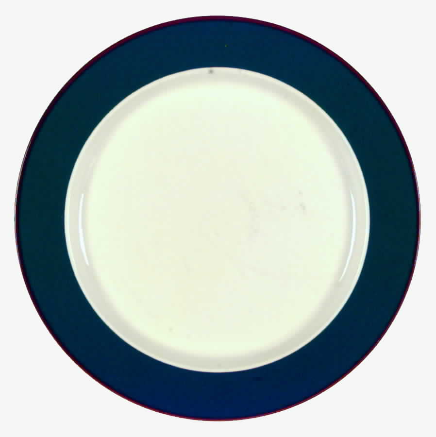 Parade Dinner Plate by International-1