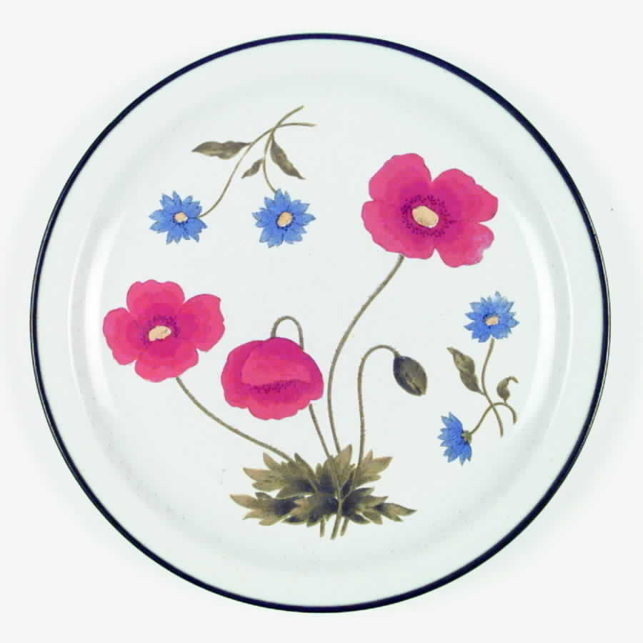 Patchin Dinner Plate by International-1