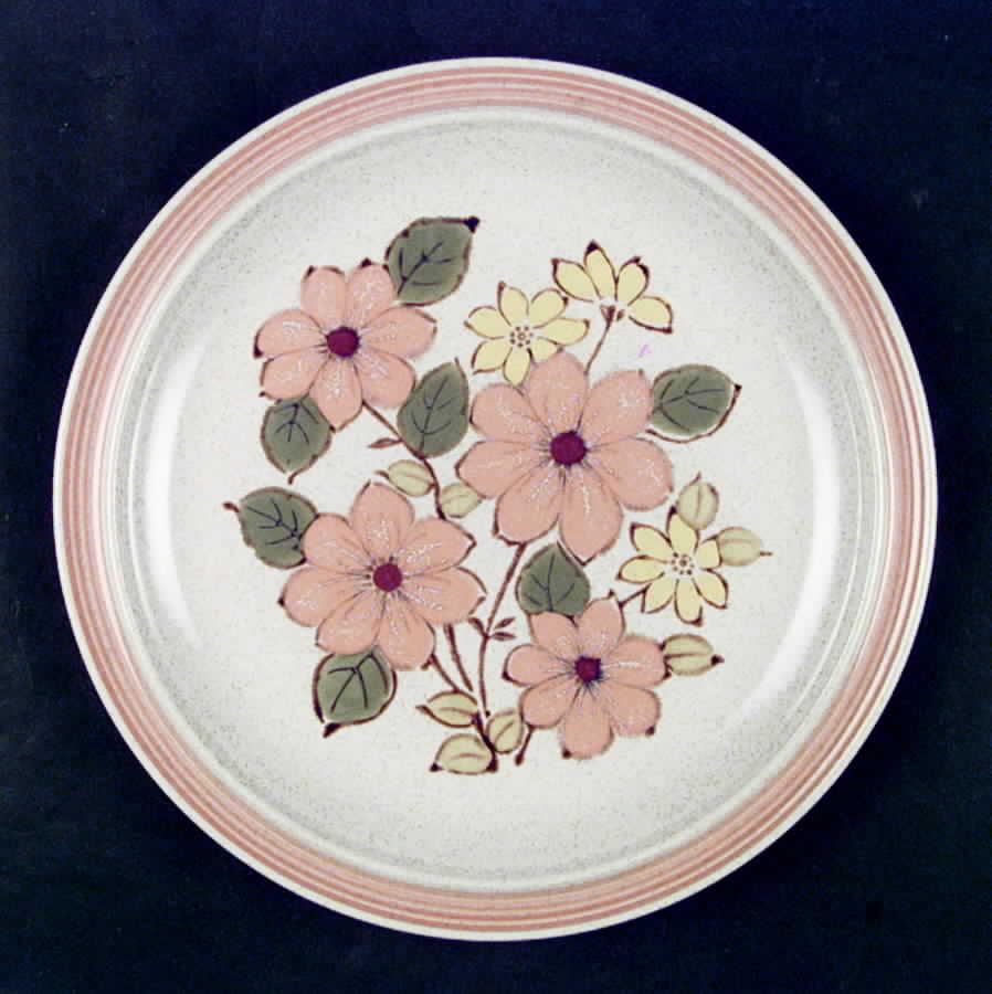Peko Dinner Plate by International-1