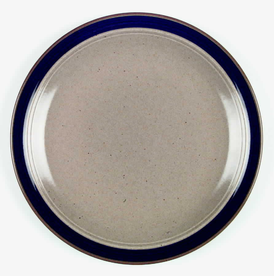 Round Up Blue Dinner Plate by International-1