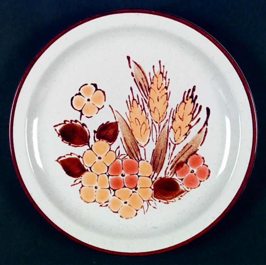 Rushwood Dinner Plate by International-1