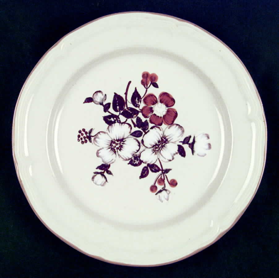 Sandy Clove Dinner Plate by International-1