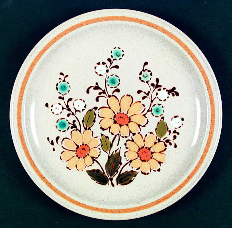 Shasta Dinner Plate by International-1