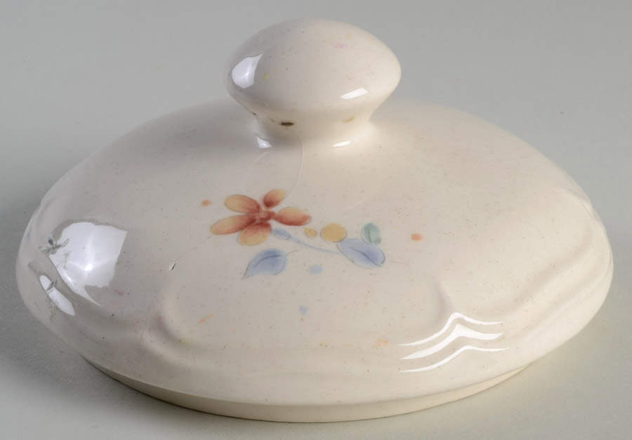 Something Special Lid for Extra Large Canister by International-1