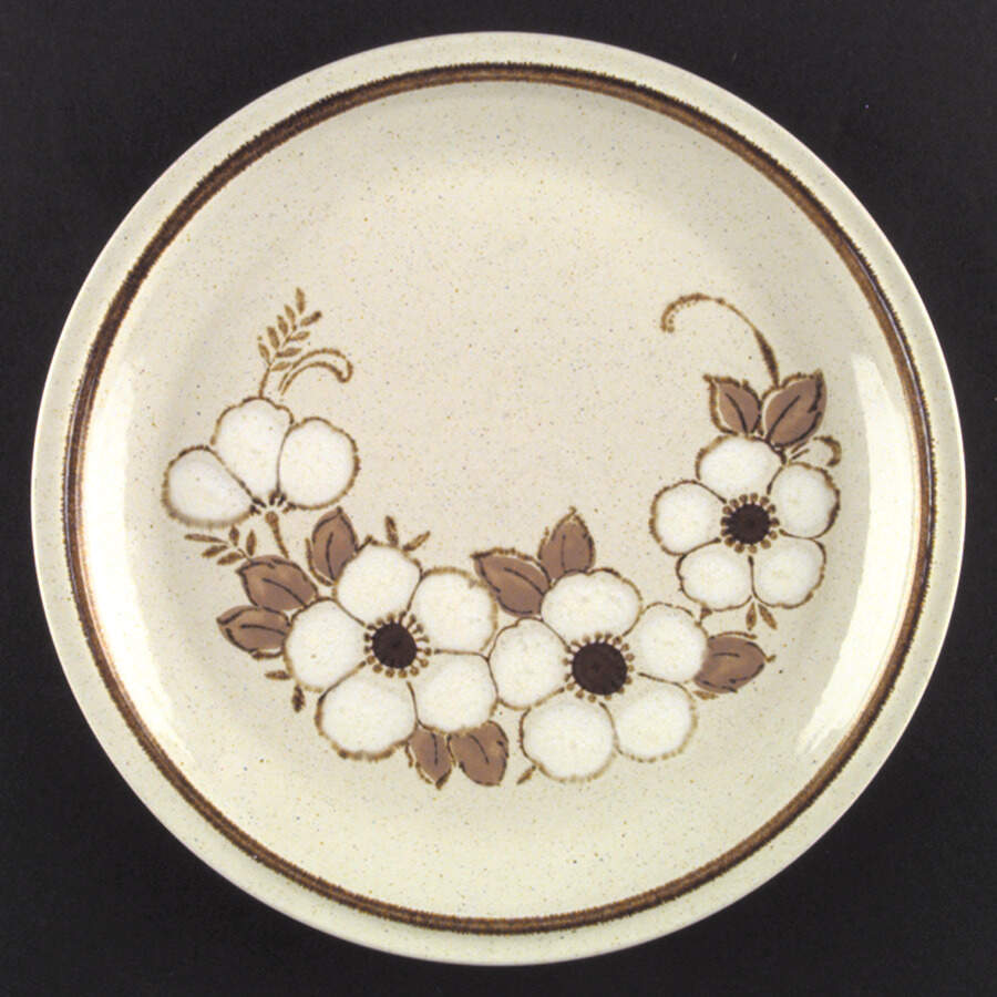 Spice White Dinner Plate by International-1