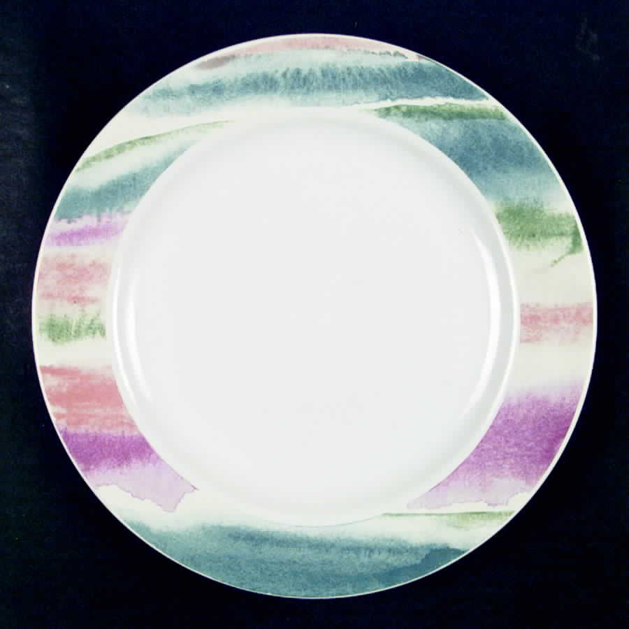 Splendid Dinner Plate by International-1