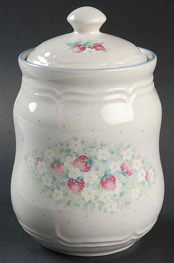 Strawberry Lane Medium Canister & Lid by International-1