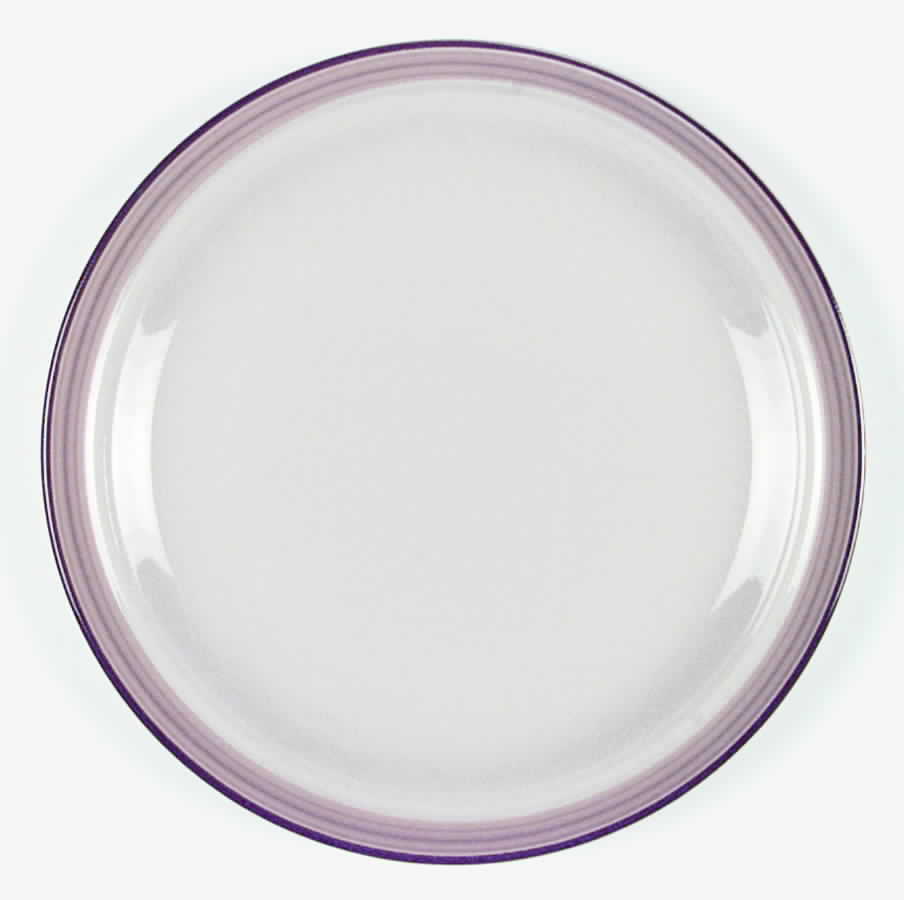 St. Tropez Dinner Plate by International-1