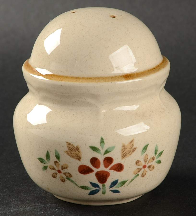 Sundance Salt Shaker by International-1