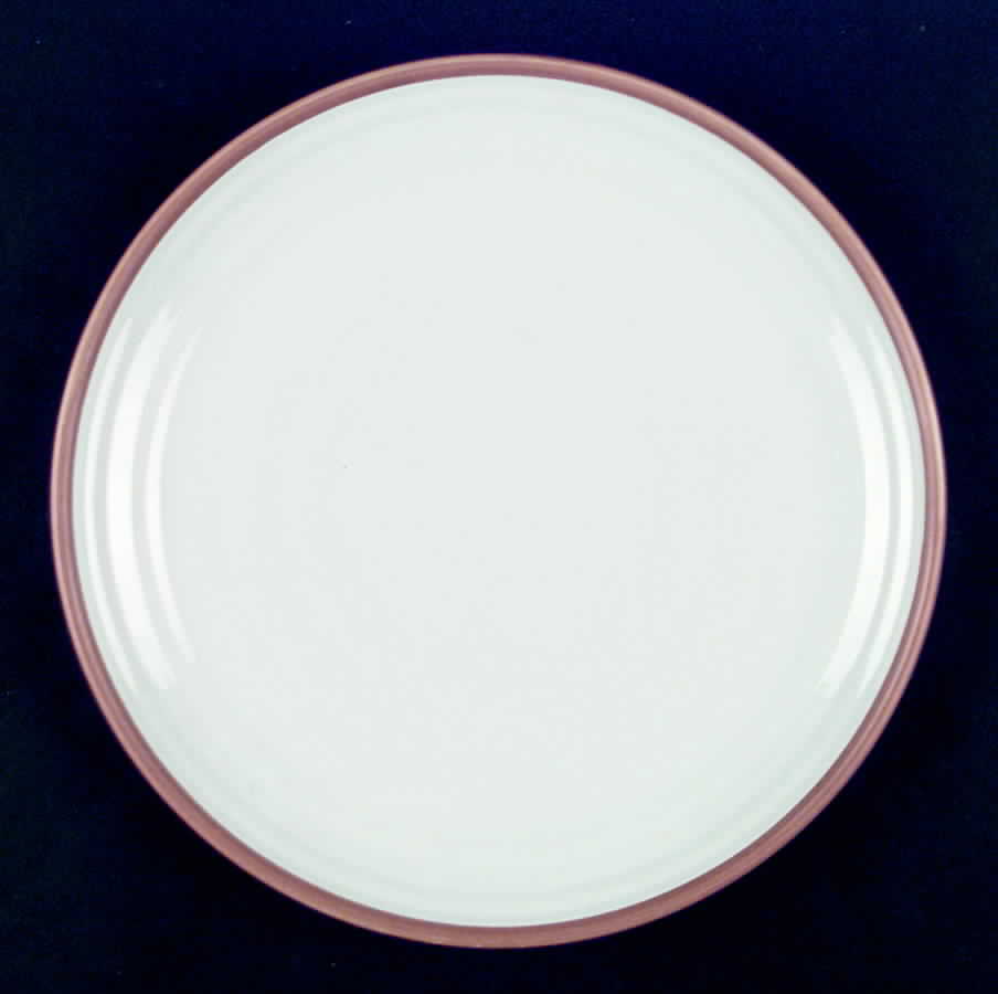 Terra Nova Dinner Plate by International-1