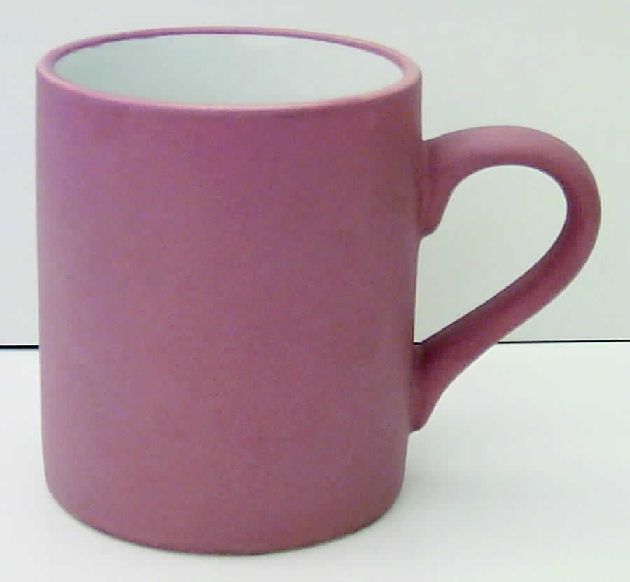 Terra Nova Mug by International-1