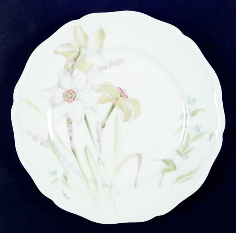 Trousseau Dinner Plate by International-1
