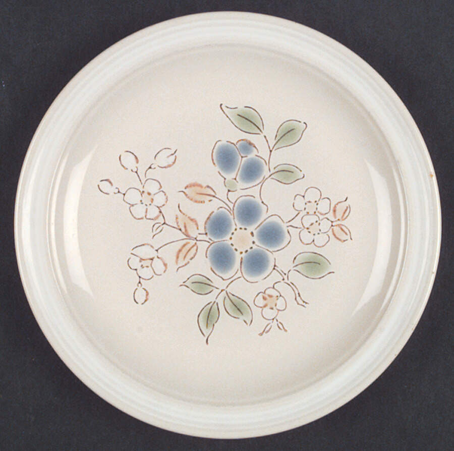 Tumble Weed Salad Plate by International-1