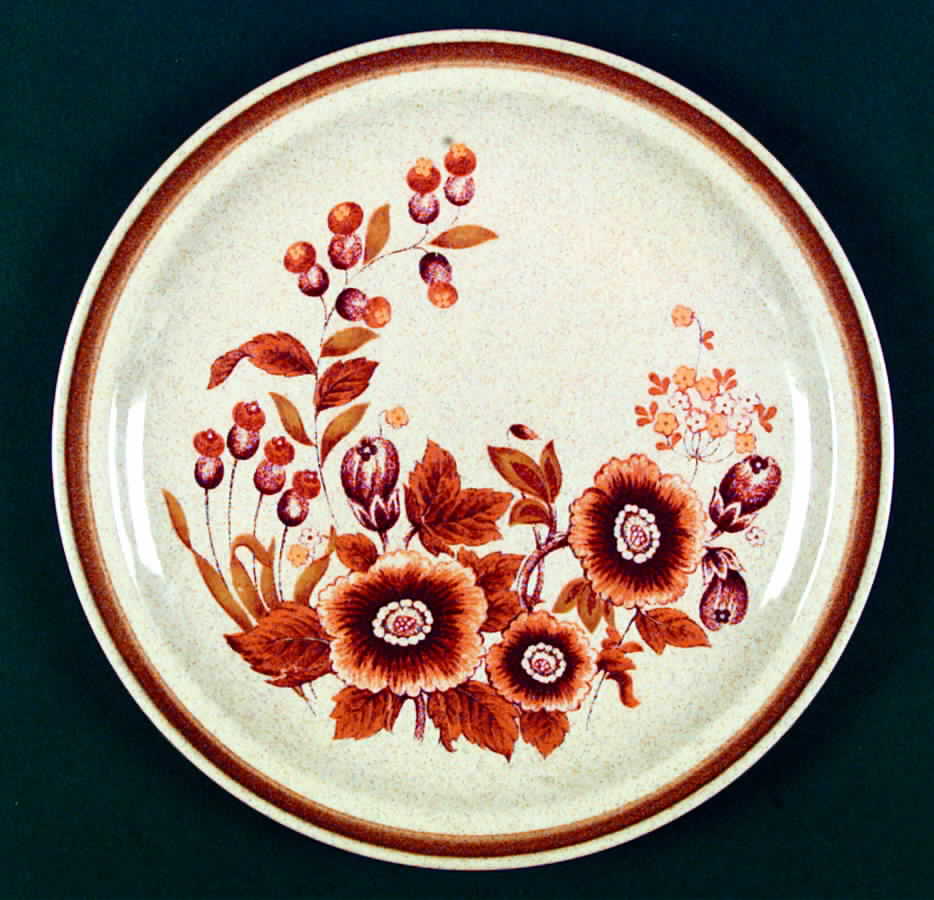Woodhue Dinner Plate by International-1