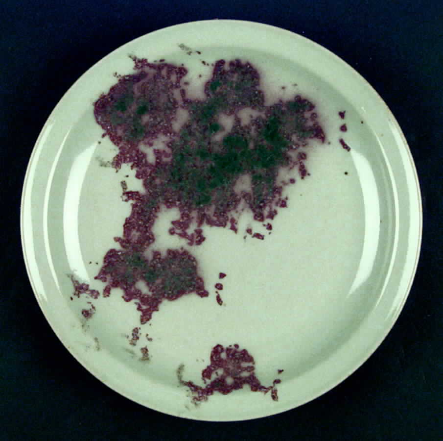 Virginia Dinner Plate by Iron Mountain-1