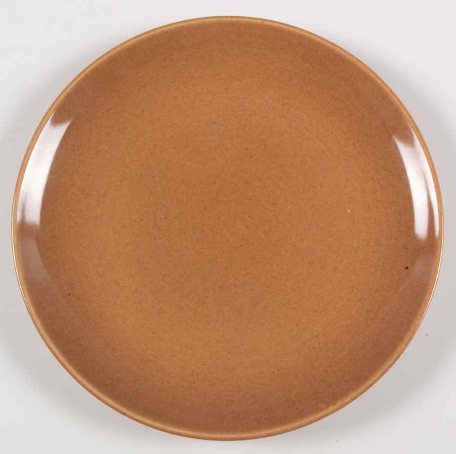Casual Apricot Dinner Plate by Iroquois-1