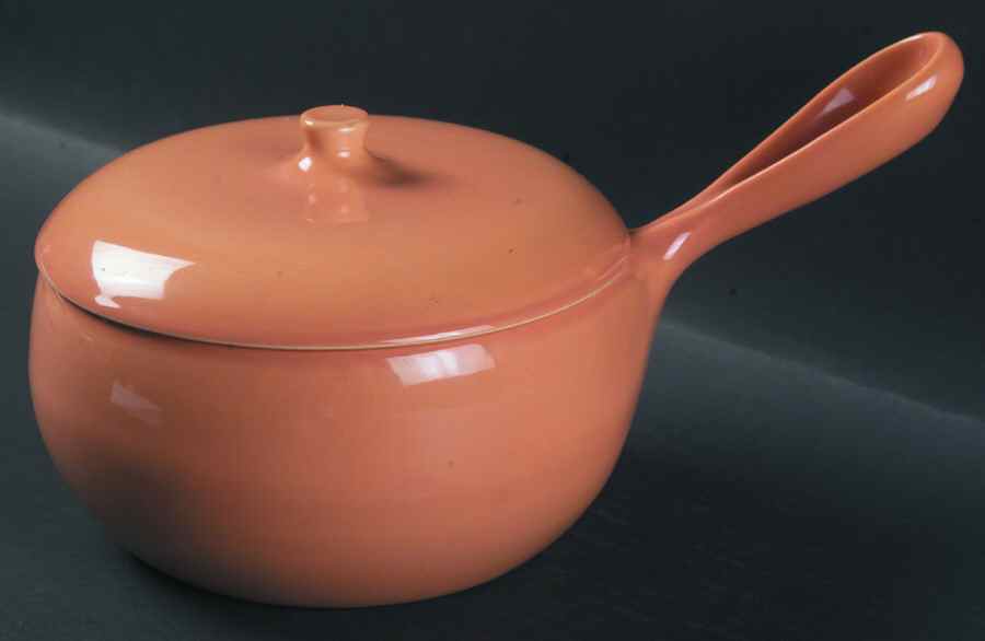 Casual Cantaloupe Saucepan & Lid by Iroquois-1
