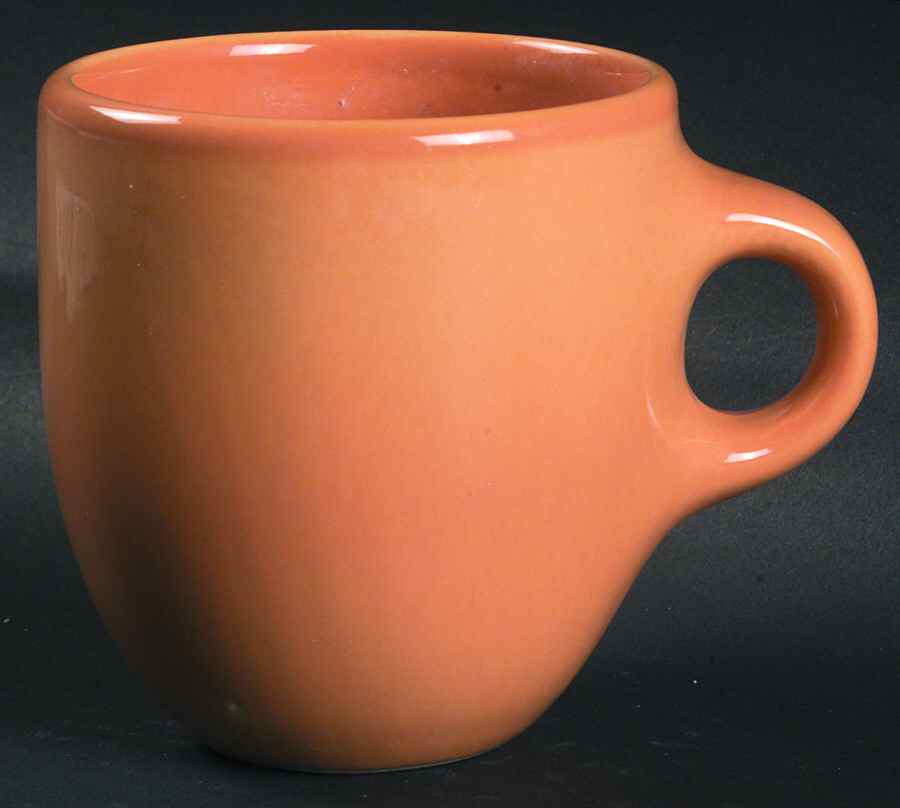 Casual Cantaloupe Mug by Iroquois-1