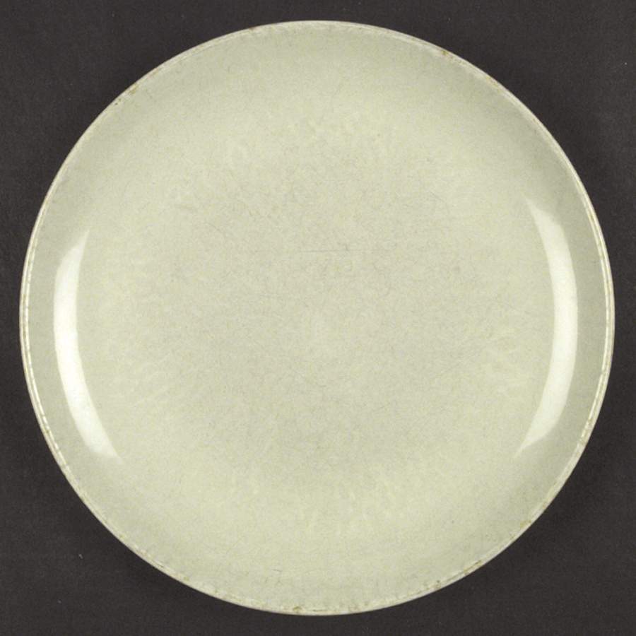 Casual Lettuce Green Dinner Plate by Iroquois-1