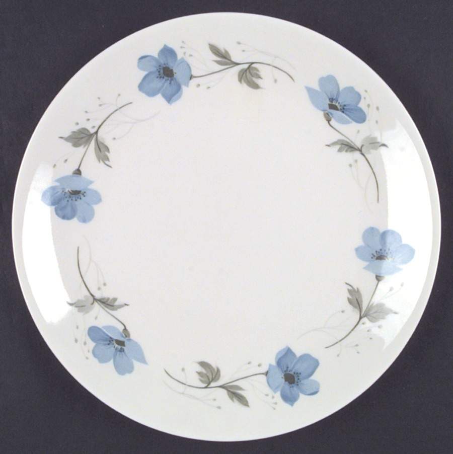 Cosmos Dinner Plate by Iroquois-1