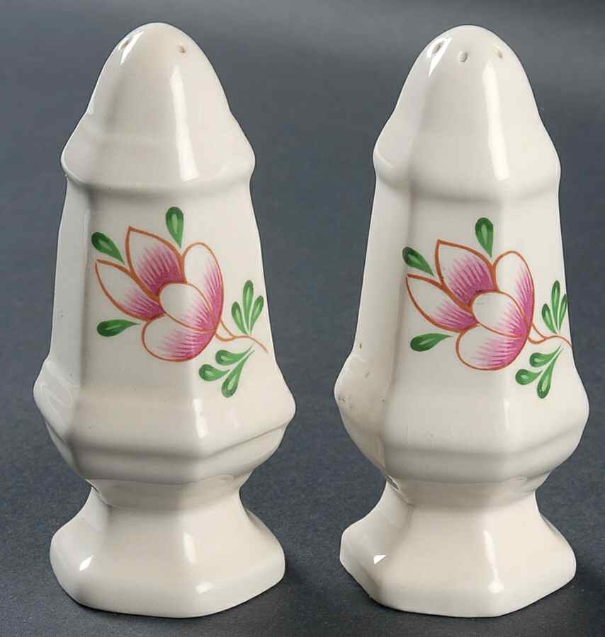 Greenfield Village Salt & Pepper Set by Iroquois-1