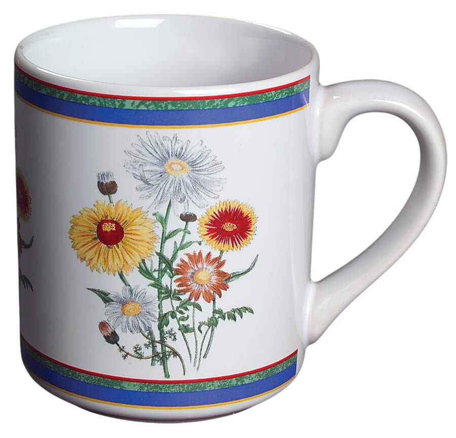 Smithsonian Botanic Mug by International-1