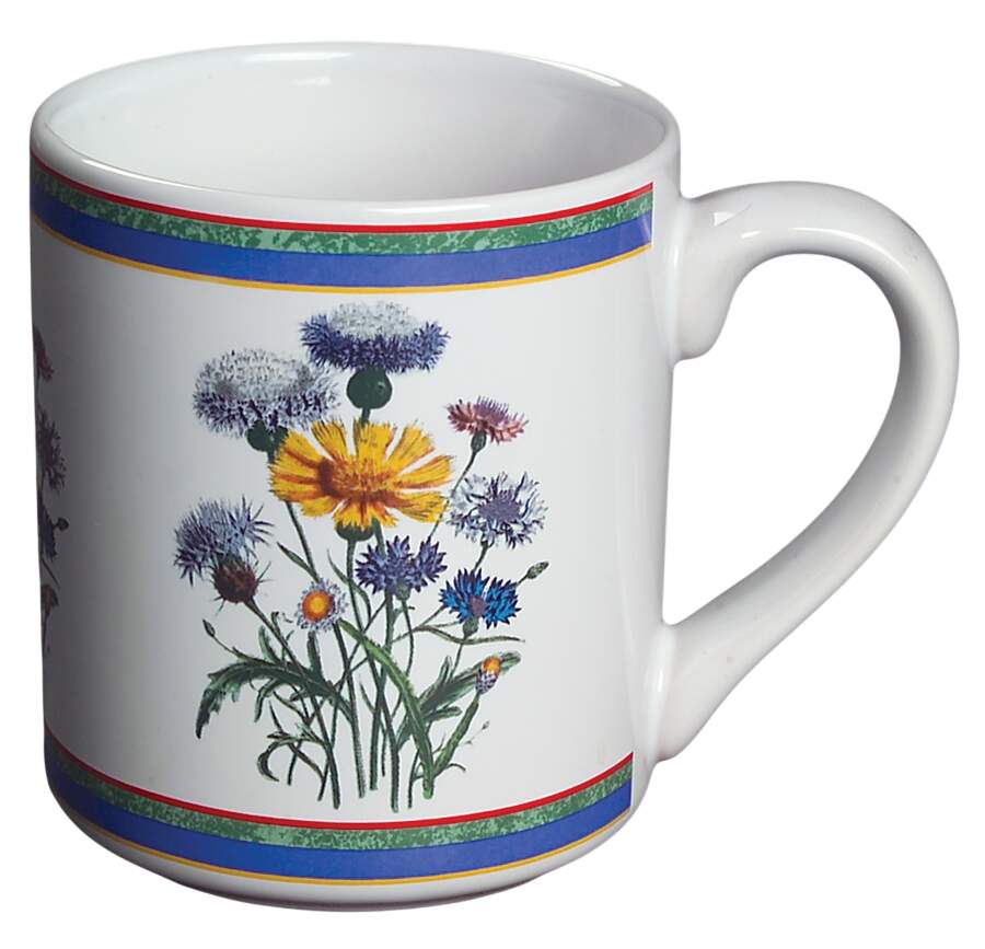 Smithsonian Botanic Mug by International-1