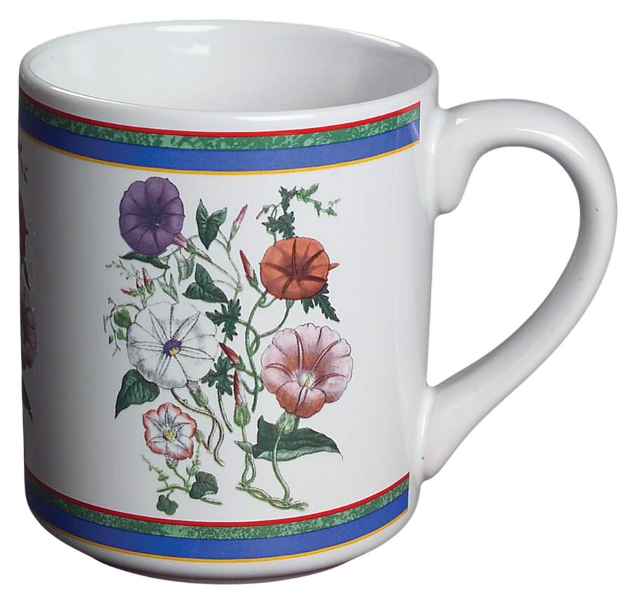 Smithsonian Botanic Mug by International-1