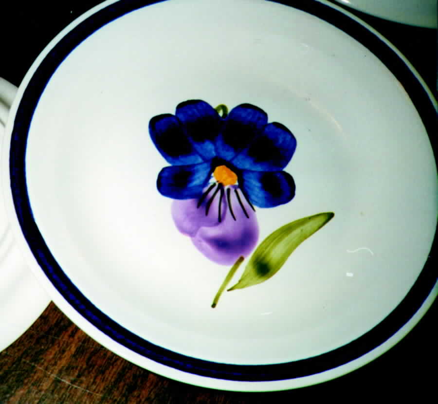 ITY30  Dinner Plate by Italy-1
