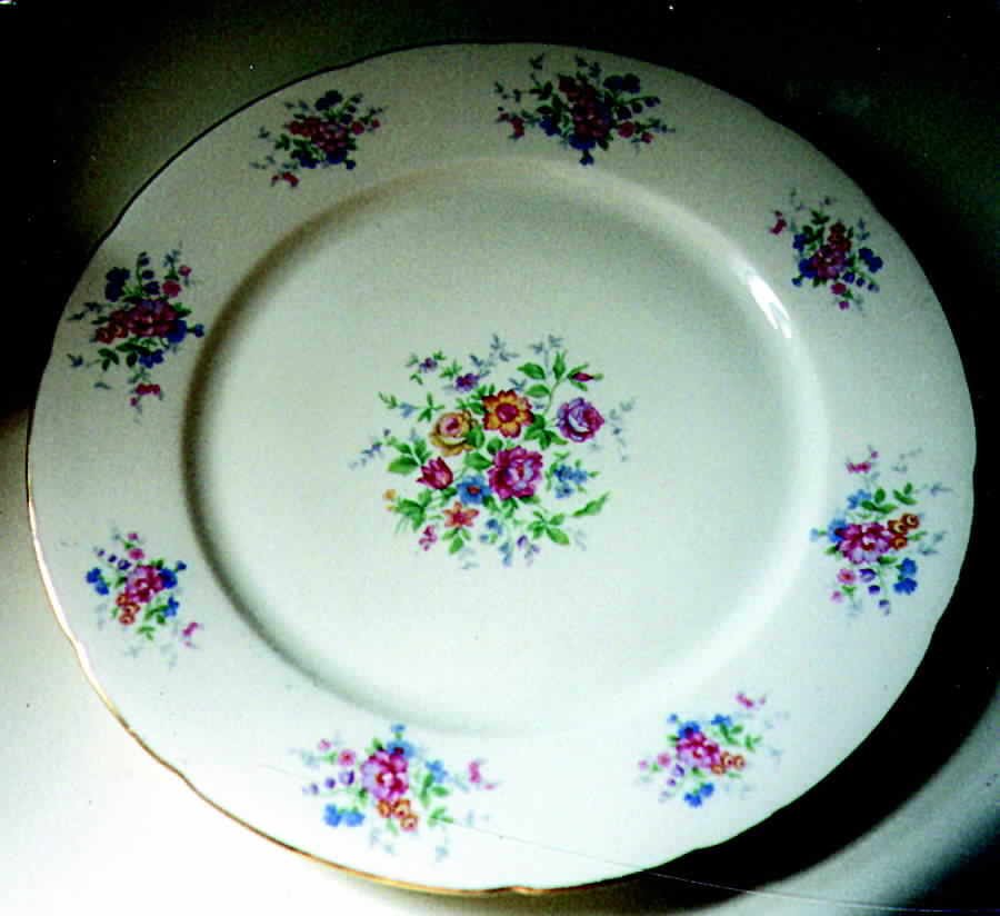 IMB11 Dinner Plate by Imperial Bohemian-1