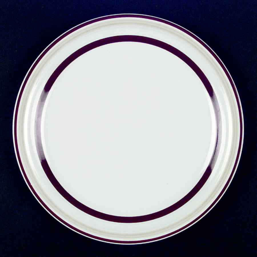 Stoneridge Dinner Plate by International-1