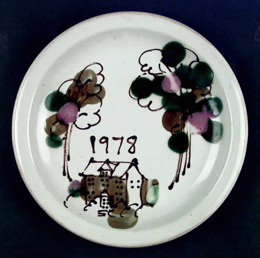 Everyday Dinner Plate by Iron Mountain-1
