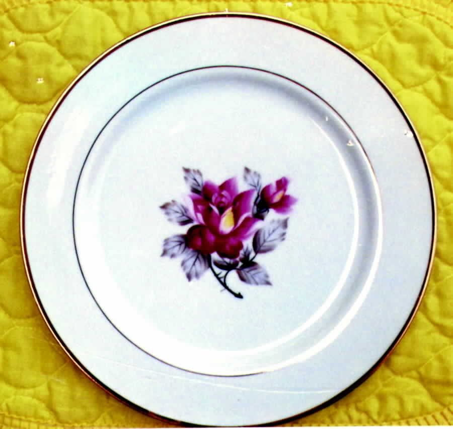 ICJ2 Dinner Plate by I China (Japan)-1