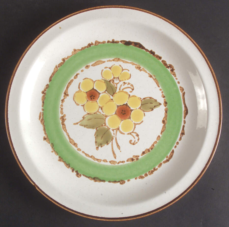 Visions Dinner Plate by International-1