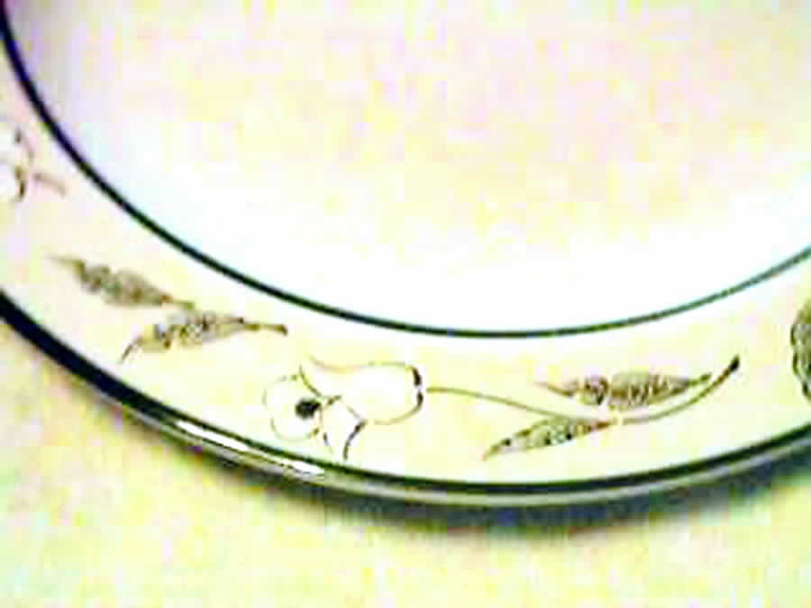Whitehills Dinner Plate by International-1