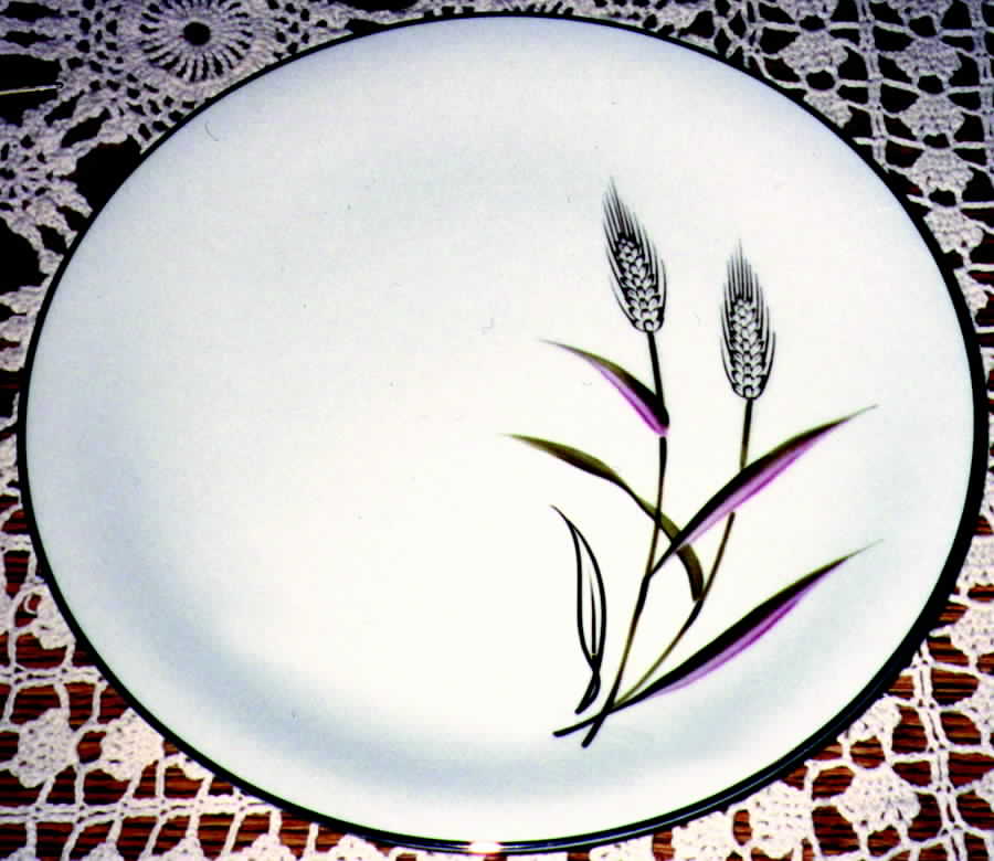A5246 Dinner Plate by I China (Japan)-1