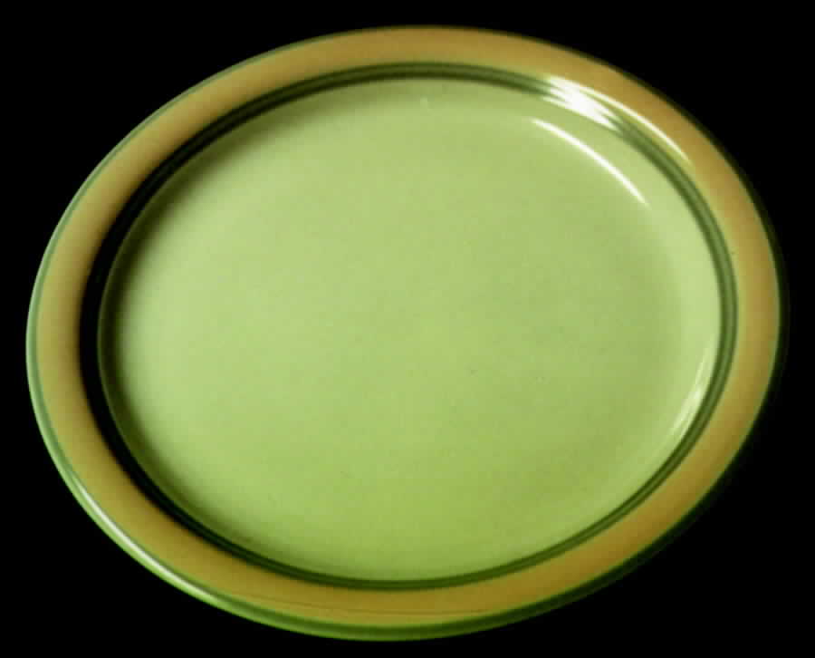 INT13 Dinner Plate by International-1